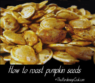 Pumpkin seeds with text that reads "how to roast pumpkin seeds" on top of it. A pile of pumpkin seeds with a text overlay that reads "how to toast pumpkin seeds".