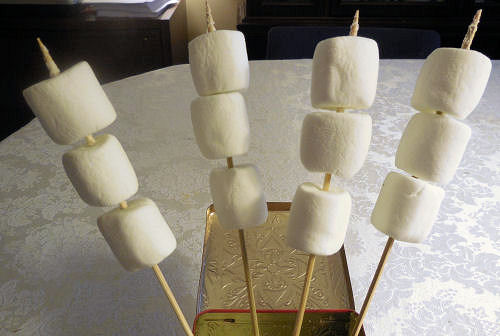 Marshmallows on the skewers