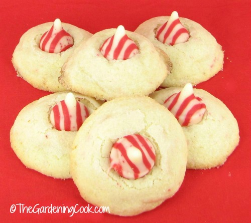 peppermint cookies Peppermint candy cane kiss cookies