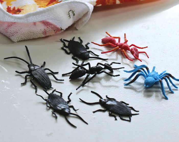 plastic cock roaches, spiders and ants