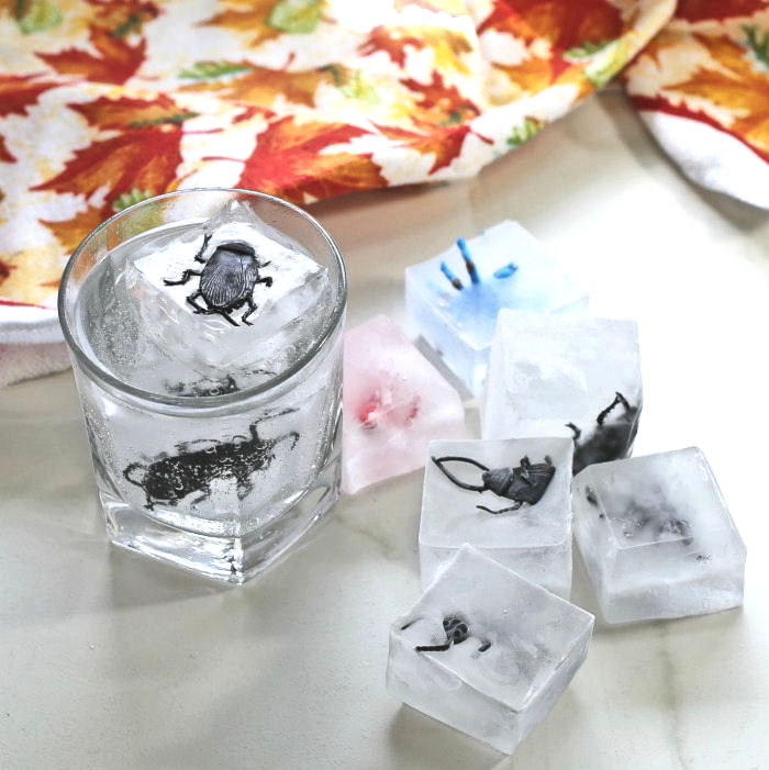 bug ice cubes