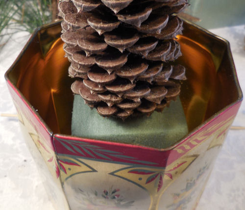 A pine cone on floral foam in a decorative tin.