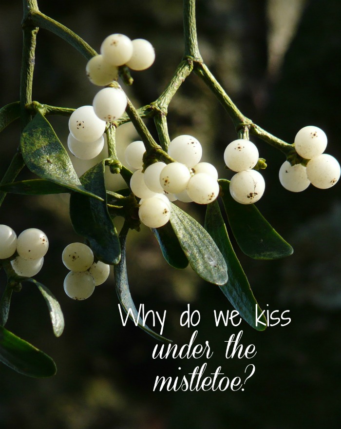 why do we kiss under the mistletoe? Kissing under the mistletoe is not a new tradition. This is one holiday pass time that has actual roots in our history. alwaystheholidays.com