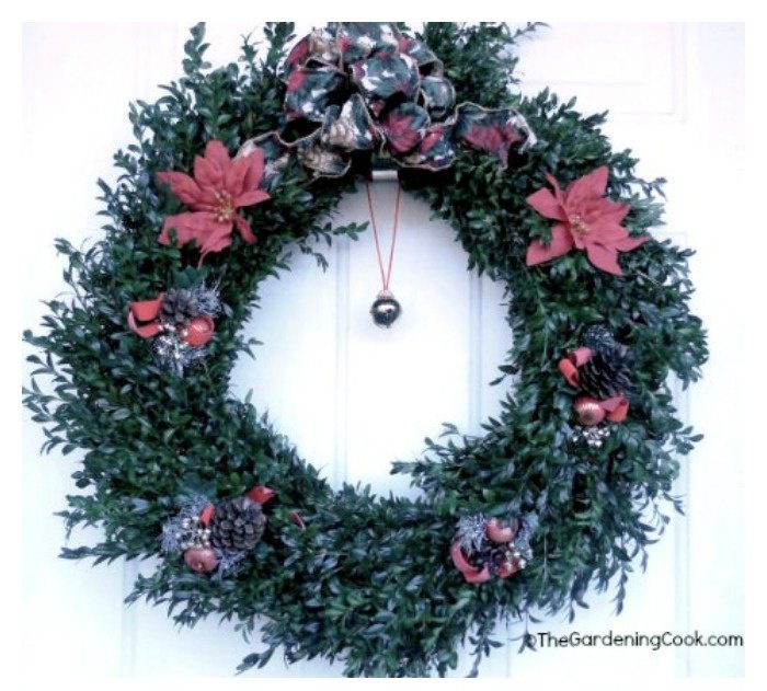 Boxwood Christmas wreath A Christmas wreath made out of boxwood branches, with fake poinsettias, and ribbons in it, hung on a white door, with a gold bell hanging down from the center of the wreath.