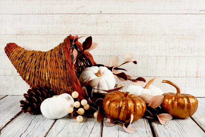 cornucopia with pinecones and pumpkins Wicker cornucopia with pumpkins, and pine cones.