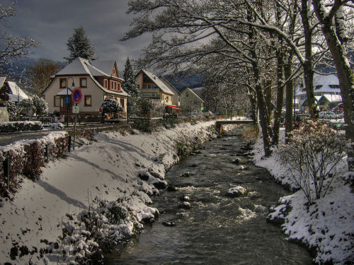 Black Forest Village in Germany. A photo of a river and cottage in Black Forest Village in Germany.