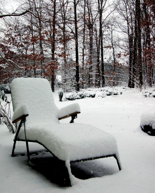 Reclining lawn chair covered in snow. Chaise lounge covered in snow outside in a backyard.