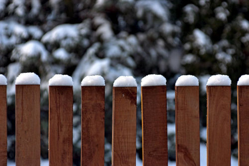 Snow on a fence. Snow on a fence with pine trees covered in snow in the background.