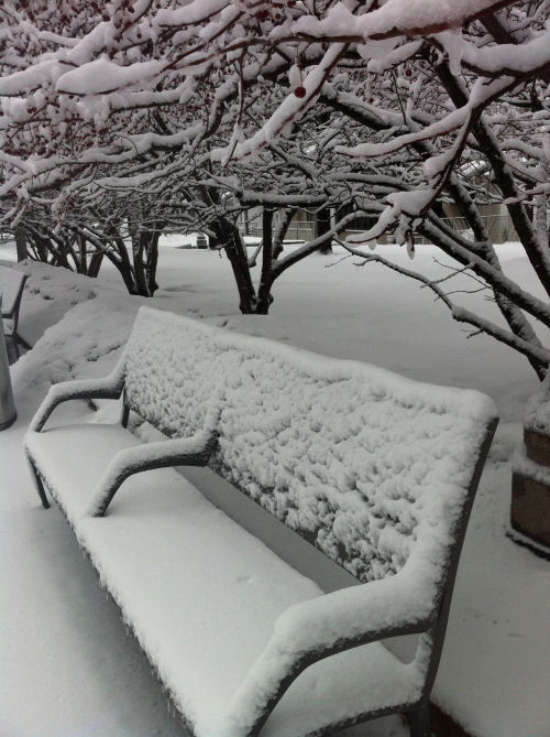 Snow on a park bench. Snow on a park bench under a tree covered in snow.
