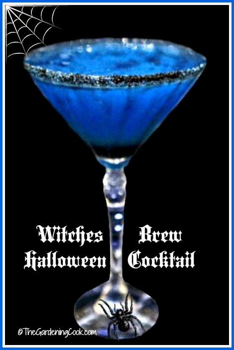Witches brew Halloween cocktail