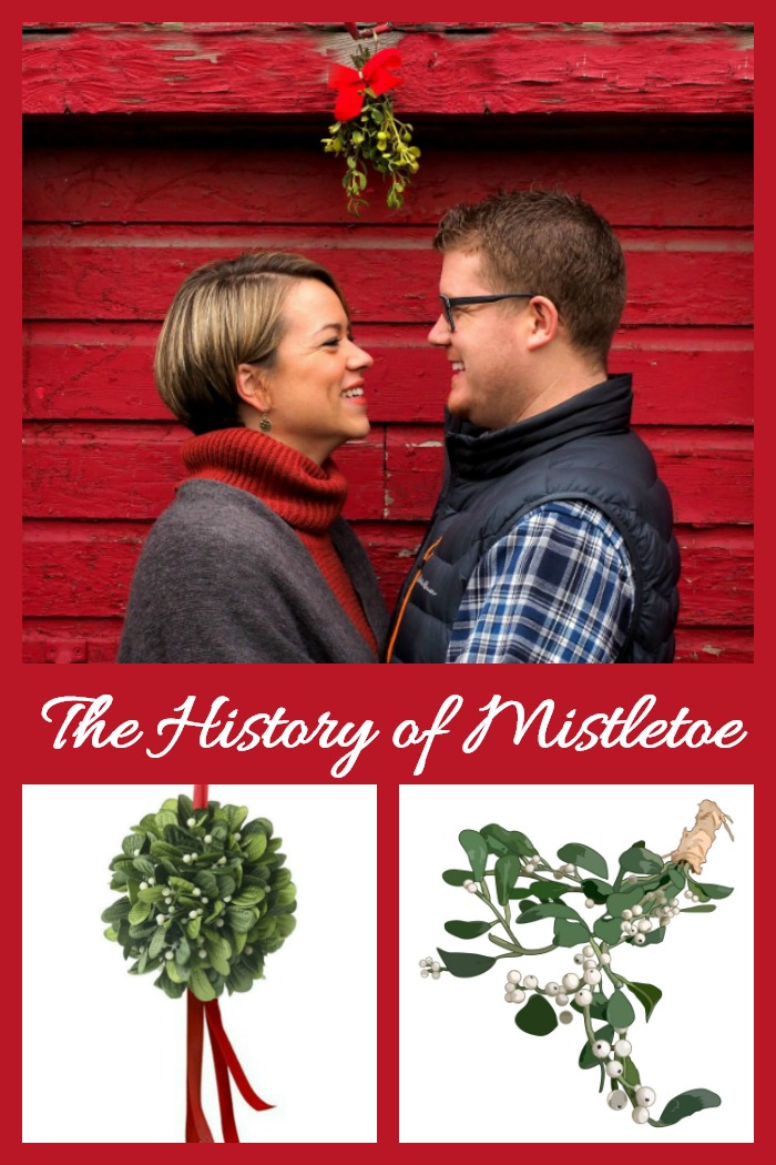 the history of mistletoe The history of mistletoe dates back to the ancient druids. Find out how this parasitic plant came to be known as the kissing plant