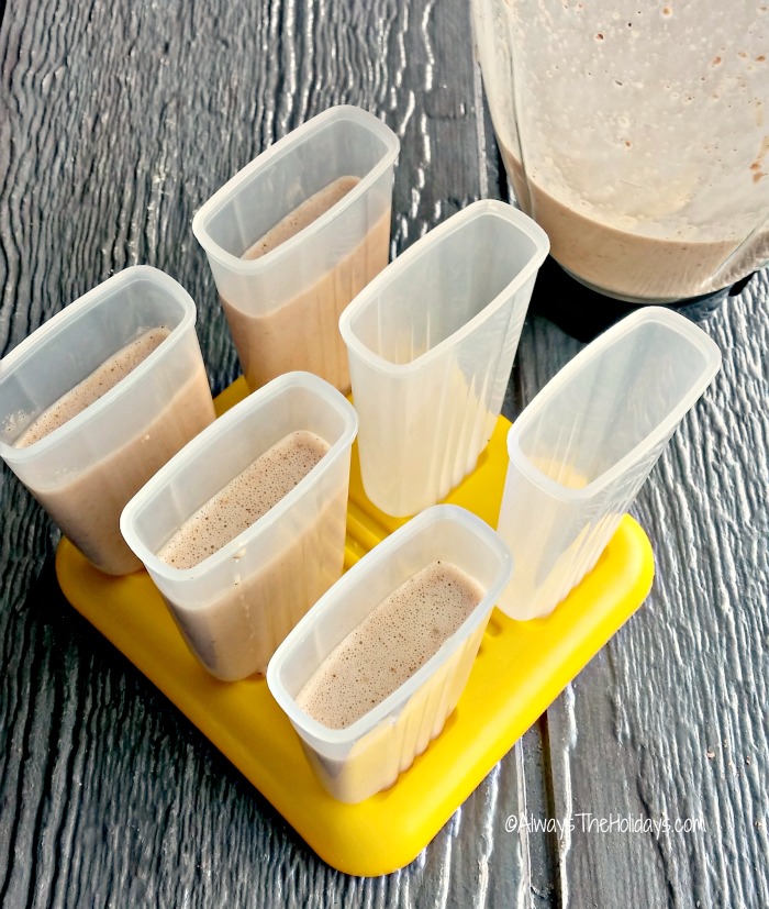 molds for Paleo Nutella Pudding Pops