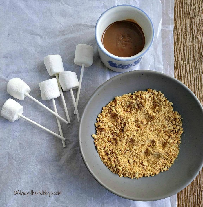 Ready to make s'mores