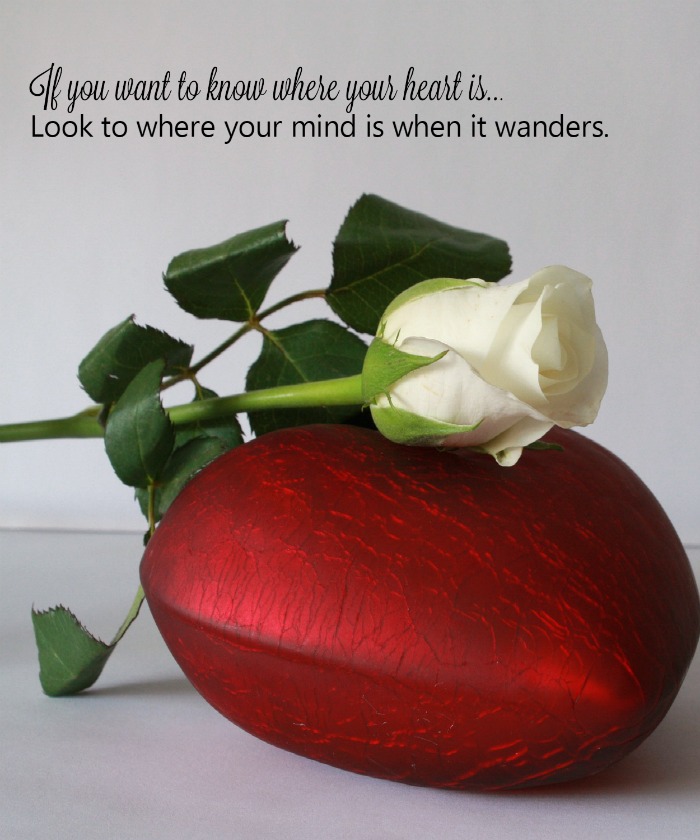 rose on pillow with love quote Where my heart lies quote