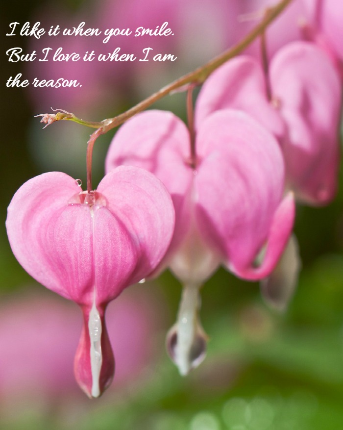 bleeding hearts with love quote Smile Inspirational quote
