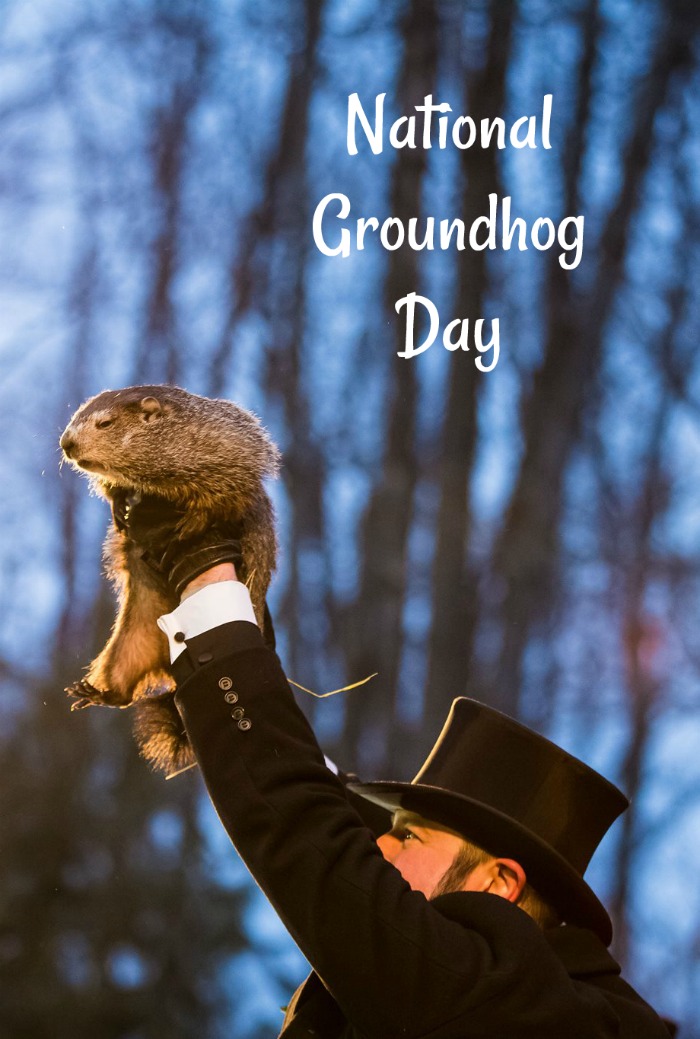 man in a top hat holding a groundhog Punxsutawney Phil predicting the weather for National Groundhog day