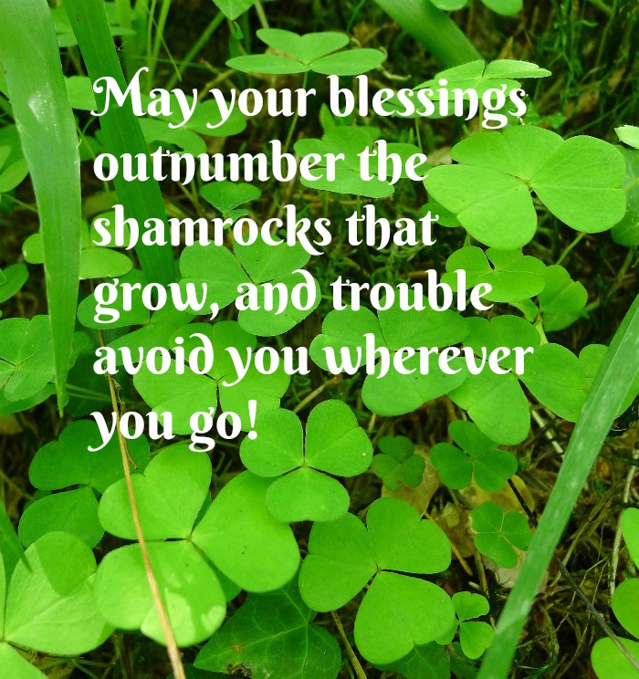 Lucky quote for St. Patrick's Day. Field of four leaf clovers with a St Patrick's day blessings quotes text overlay.