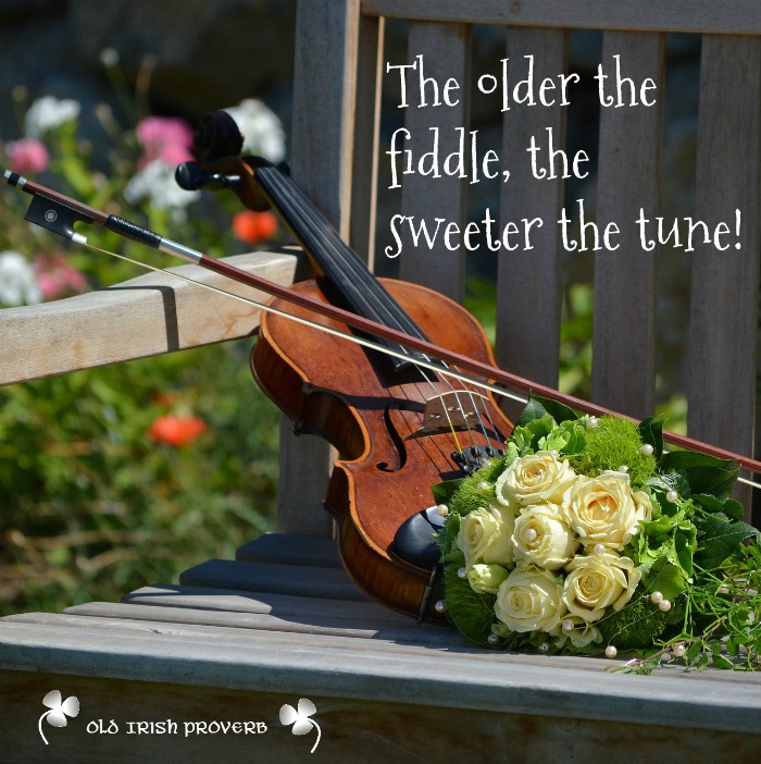 St Patrick's quote over a photo of a violin on a bench. A violin on a park bench with a bunch of roses with a St Patricks lucky quotes text overlay.