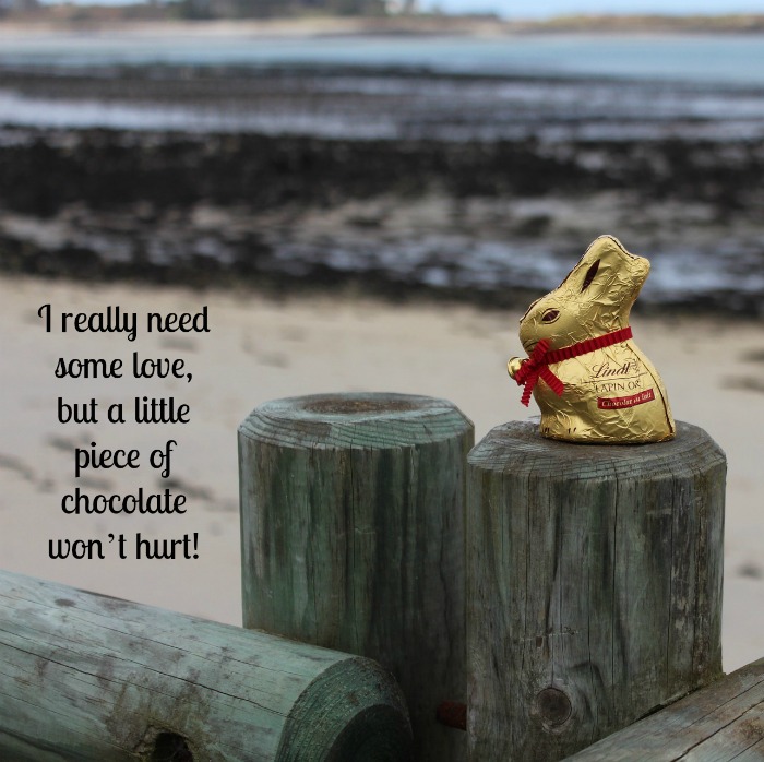 Easter chocolate quote over a photo of a Lindt chocolate bunny sitting on a rustic wooden fence at a rocky beach.