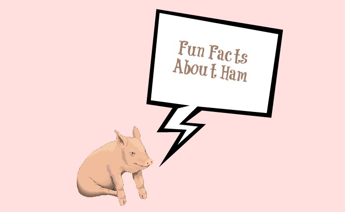 Pig Meme Fun Facts about Ham