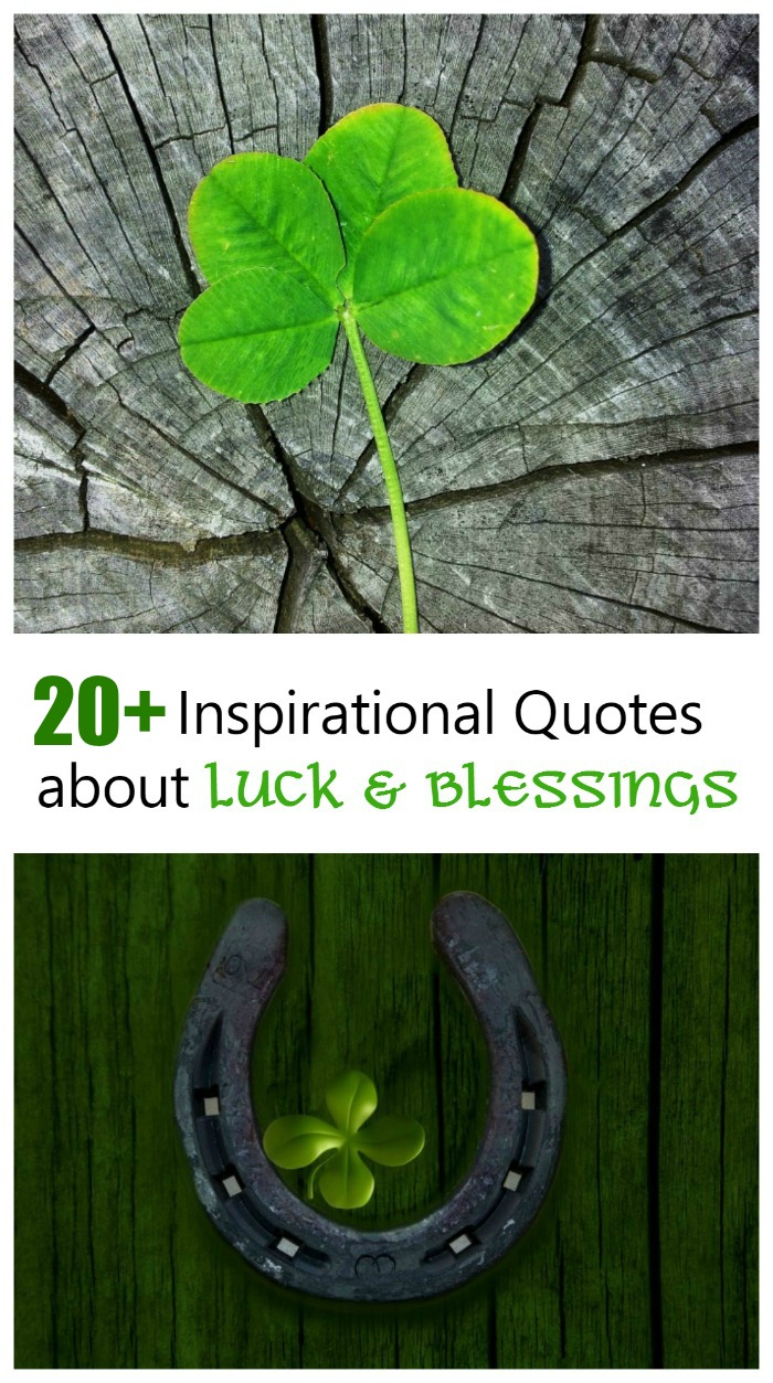 A shamrock and a horse shoe with a text overlay that reads "more than 20 sayings and quotes about St. Patrick's Day - luck, blessings, friendship".