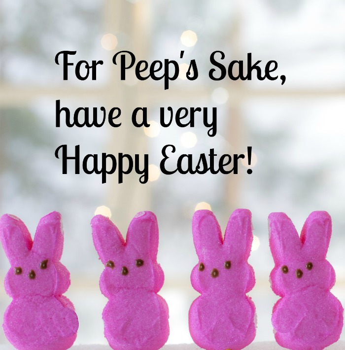 Four pink Peeps against a blurry grey background with a funny Easter quote.