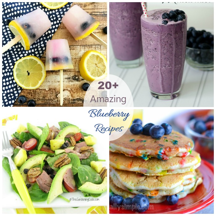 Collection of 20+ Amazing Blueberry Recipes