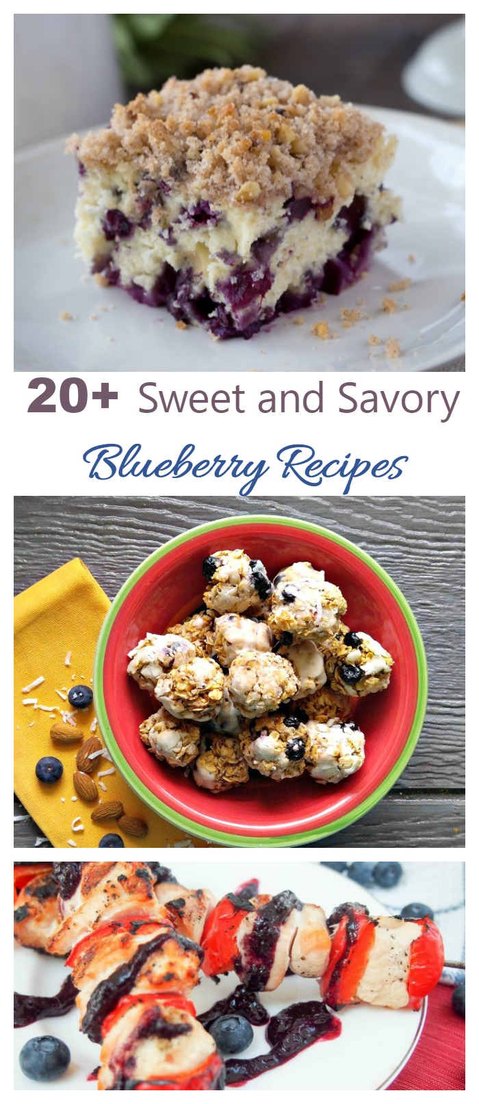 Over 20 Blueberry recipes both savory and sweet for a tasty summer.