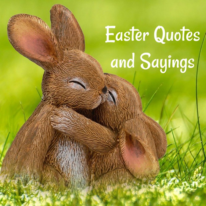 A baby bunny hugging a mommy bunny in a field with a text overlay that says Easter quotes and sayings.