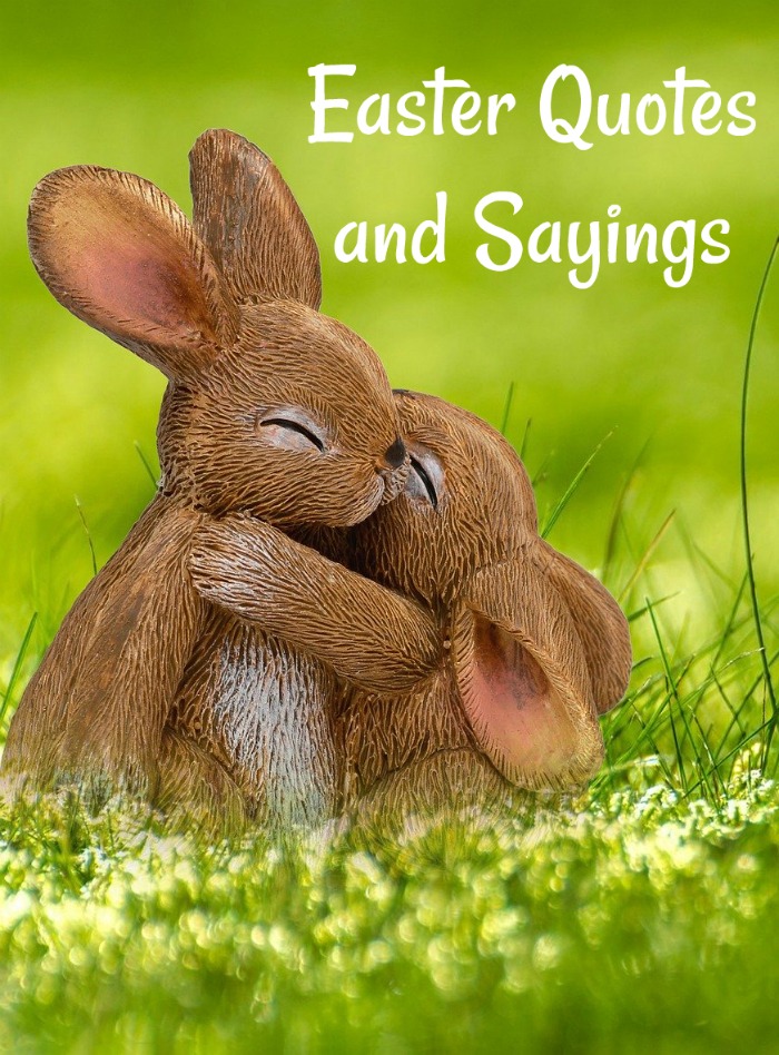 Easter quotes and sayings text overlay on top of a photo of a baby bunny hugging a mommy bunny in a field.