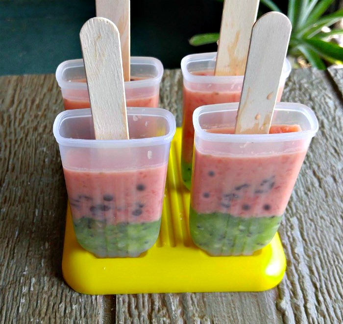 watermelon and kiwi mixture in popsicle molds Finished kiwi watermelon pops