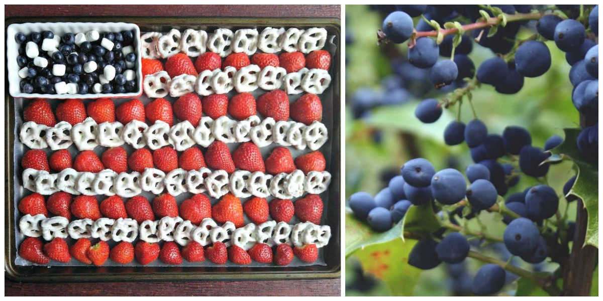 Patriotic fruit platter 4th of July fruit plate with fresh blueberries.