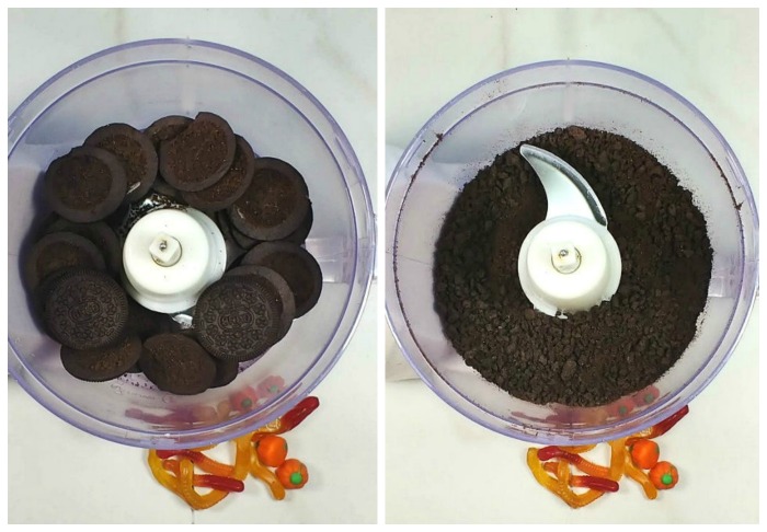 Making cookie crumbs crumbs for dirt cups in a food processor.
