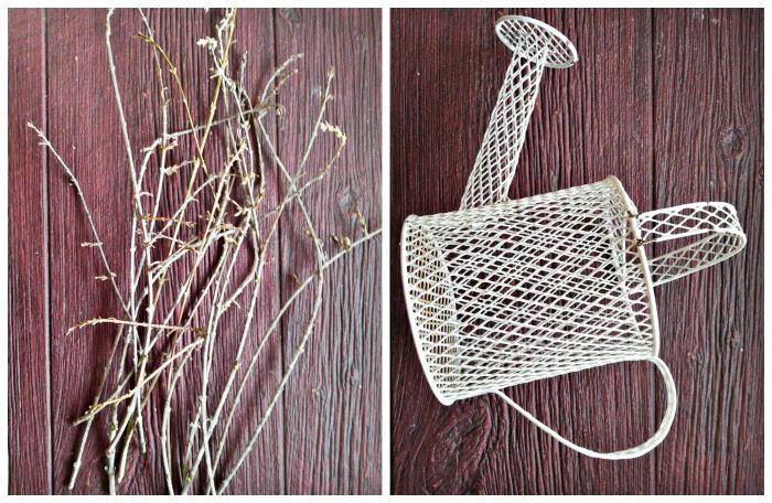 Forsythia branches and watering can