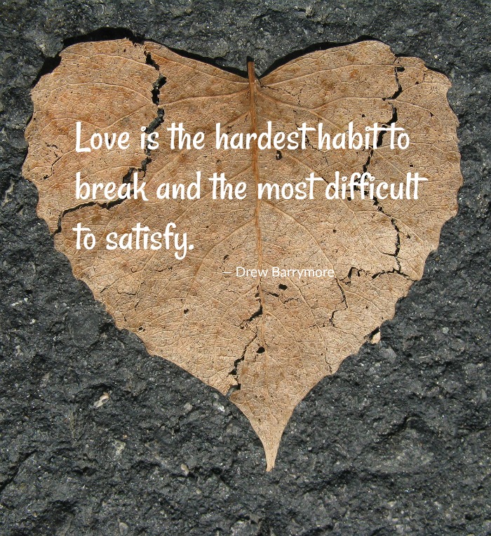 broken heart shaped leaf with a love quote Broken heart love quote