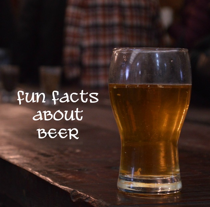 Fun facts about beer graphic. A mug of beer on a counter with a person wearing plaid behind it and a text overlay that says "fun facts about beer".
