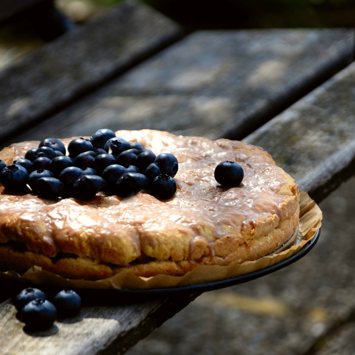 Blueberry Recipes to Celebrate National Blueberry Pie Day – April 28