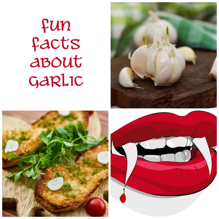 A collage with three images, one of a sprouting bulb of garlic, one with garlic toast, and one with vampire fangs, next to a text overlay that reads "fun facts about garlic".