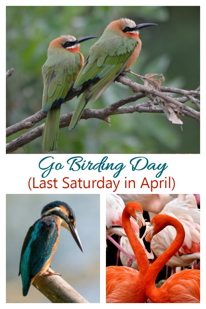 Go Birding Day The last Saturday in April is Go Birding Day. Get some fun Facts, tips for watching birds and ways to celebrate on Always the Holidays