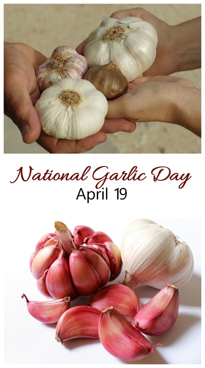 A collage of two photos of heads of garlic with a text overlay that reads "April 19 is National Garlic Day".