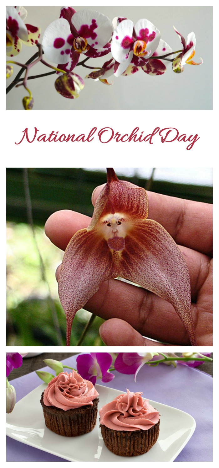 national orchid day Celebrate National Orchid Day (and National Orchid Month) with pictures of orchids, fun facts and activities.