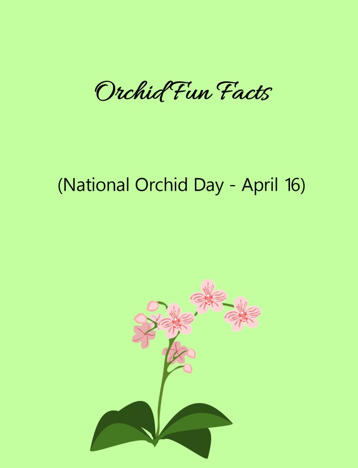 orchid fun facts Discover some interesting fun facts about orchids