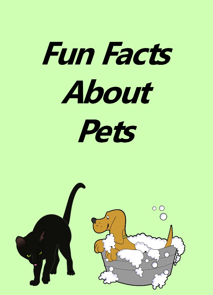 Fun facts about pets graphic. A plain green background with the text "Fun Facts About Pets" at the top, and a clipart black cat at the bottom next to a clipart dog in a bubble bath.