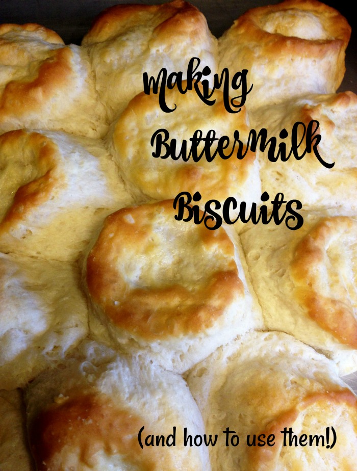 biscuits from the oven with a text overlay Buttermilk biscuit recipes