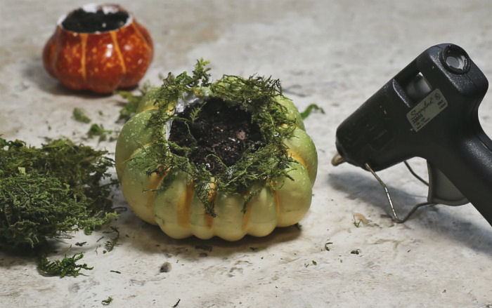 Hot glue moss to the opening Hot glue moss to the opening
