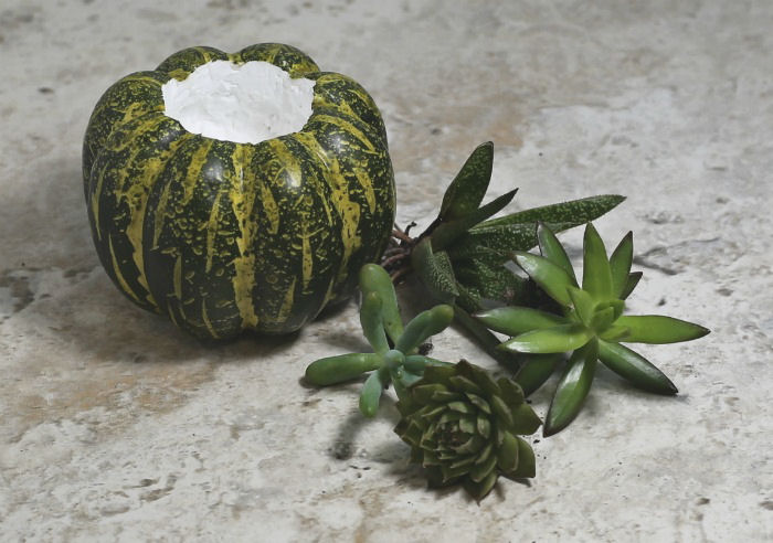 faux pumpkin and succulents faux pumpkin and succulents