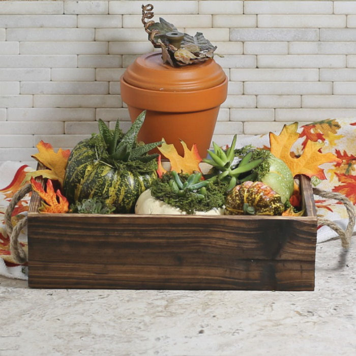 Succulent planter box