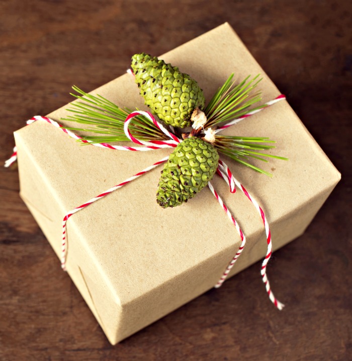 Green pine cones and boughs on a package. Christmas gift wrap with pine boughs and green pine cones tied with kitchen twine.