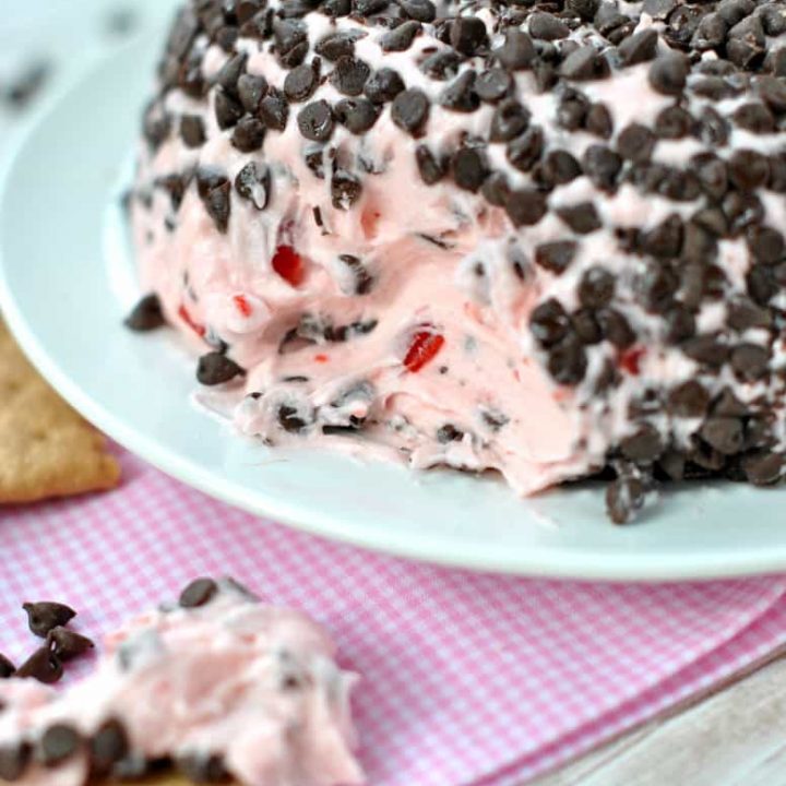 Image for Cherry Chocolate Chip Cheeseball