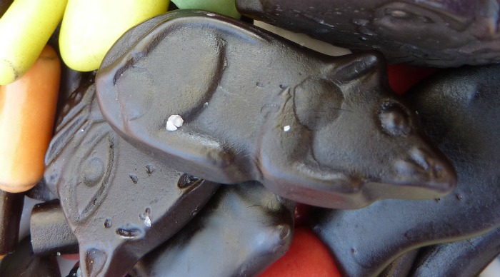 licorice animal shapes Enjoy licorice shapes for National Licorice Day